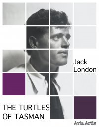 The Turtles of Tasman - Jack London - ebook