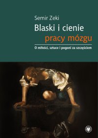 Blaski i cienie pracy mózgu - Semir Zeki - ebook
