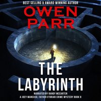 Labyrinth - Owen Parr - audiobook
