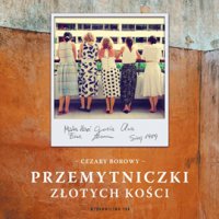 Przemytniczki złotych kości - Cezary Borowy - audiobook