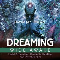 Dreaming Wide Awake - David Jay Brown - audiobook