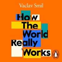 How the World Really Works - Vaclav Smil - audiobook