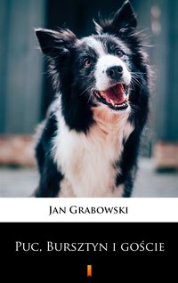 Puc, Bursztyn i goście - Jan Grabowski - ebook