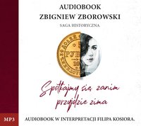Spotkajmy się, zanim przyjdzie zima - Zbigniew Zborowski - audiobook