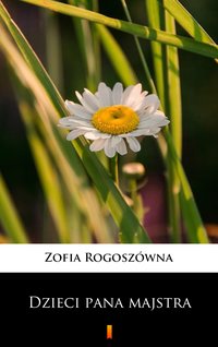 Dzieci pana majstra - Zofia Rogoszówna - ebook