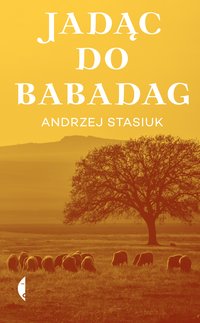 Jadąc do Babadag - Andrzej Stasiuk - ebook