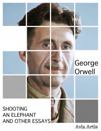 Shooting an Elephant and Other Essays - George Orwell - ebook