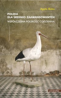 Polska dla średnio zaawansowanych. Współczesna polskość codzienna - Agata Bisko - ebook