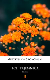 Ich tajemnica - Mieczysław Srokowski - ebook