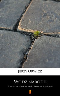 Wódz narodu - Jerzy Orwicz - ebook