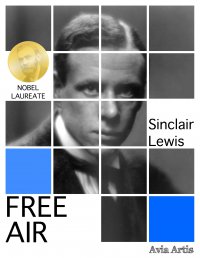Free Air - Sinclair Lewis - ebook