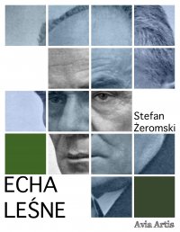 Echa leśne - Stefan Żeromski - ebook