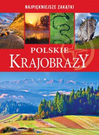 Polskie krajobrazy - Opracowanie zbiorowe - ebook
