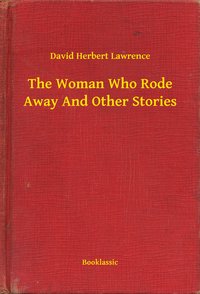 The Woman Who Rode Away And Other Stories - David Herbert Lawrence - ebook