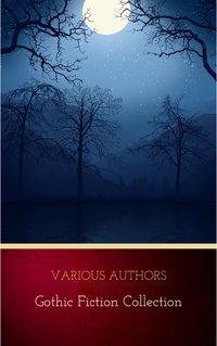 Gothic Fiction Collection - Various Authors - ebook