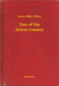 Tess of the Storm Country - Grace Miller White - ebook