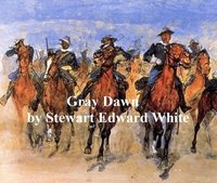 The Gray Dawn - Stewart Edward White - ebook