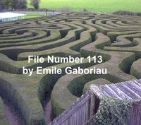 File No. 113 - Emile Gaboriau - ebook