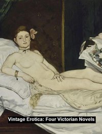 Vintage Erotica: 4 Victorian novels - Anonymous - ebook