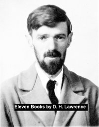 Eleven Books - D.H. Lawrence - ebook