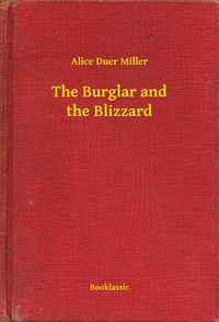 The Burglar and the Blizzard - Alice Duer Miller - ebook