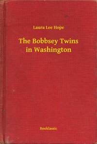 The Bobbsey Twins in Washington - Laura Lee Hope - ebook