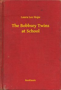 The Bobbsey Twins at School - Laura Lee Hope - ebook