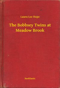 The Bobbsey Twins at Meadow Brook - Laura Lee Hope - ebook