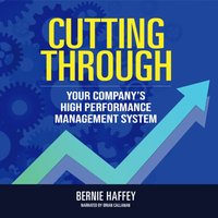 Cutting Through - Bernie Haffey - audiobook