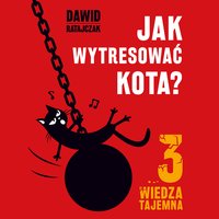 Jak wytresować kota 3. Wiedza tajemna - Dawid Ratajczak - audiobook