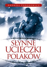 Słynne ucieczki Polaków - Andrzej Fedorowicz - ebook