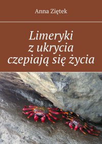 Limeryki z ukrycia czepiają się życia - Anna Ziętek - ebook
