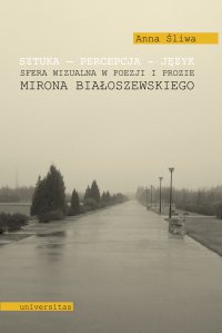 Sztuka - percepcja - język. Sfera wizualna w poezji i prozie Mirona Białoszewskiego - A. Śliwa - ebook