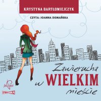Zawierucha w wielkim mieście - Krystyna Bartłomiejczyk - audiobook
