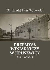 Przemysł winiarniczy w Kruszwicy - Bartłomiej Grabowski - ebook