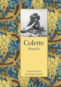 Colette. Biografia - Fernande Gontier - ebook