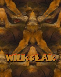 Przygody Zagadkowego Człowieka. Wilkołak - anonimowy - ebook