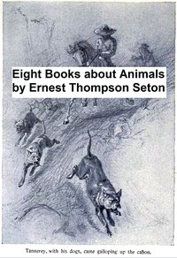 Eight Books About Animals - Ernest Thompson Seton - ebook