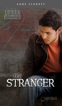 The Stranger - Anne Schraff - ebook