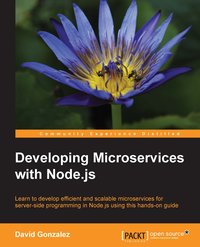 Developing Microservices with Node.js - David Gonzalez - ebook