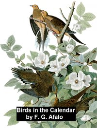Birds in the Calendar - F. G. Aflalo - ebook