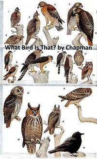 What Bird is That? - Frank Chapman - ebook