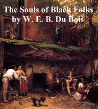 The Souls of Black Folk - W. E. B. Du Bois - ebook