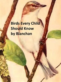 Birds Every Child Should Know - Neltje Blanchan - ebook