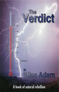 The Verdict - Elias Adam - ebook