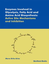 Enzymes Involved in Glycolysis, Fatty Acid and Amino Acid Biosynthesis: Active Site Mechanisms and Inhibition - Marco Brito-Arias - ebook