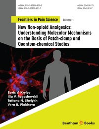 New Non-opioid Analgesics: Understanding Molecular Mechanisms on the Basis of Patch-clamp and Quantum-chemical Studies - Boris V. Krylov - ebook