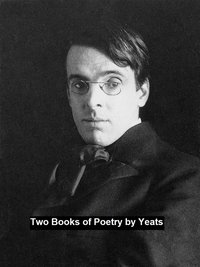 Two Books of Poetry - William Butler Yeats - ebook