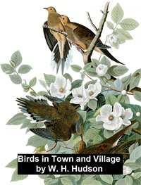 Birds in Town and Village - W. H. Hudson - ebook