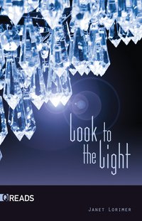 Look to the Light - Janet Lorimer - ebook